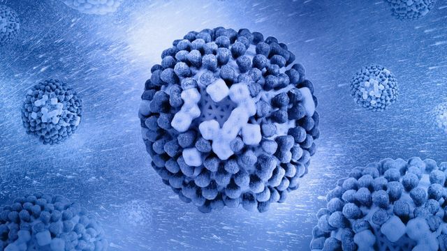 Scientists Watch the Flu Virus Infect Human Cells Live for the First Time