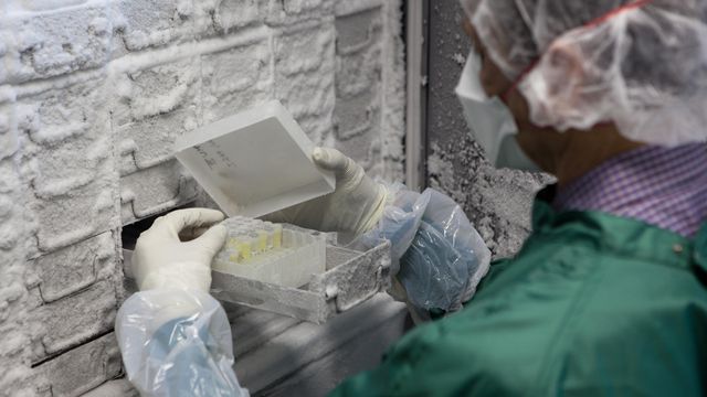 Scientist wearing PPE removing samples from an ultra-low temperature freezer. 
