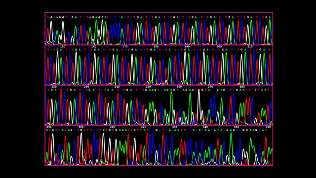 Color-coded genome sequencing chromatogram displaying DNA base peaks and read quality. 
