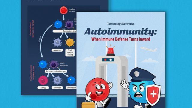 An infographic on autoimmunity, titled: Autoimmunity: When Immune Defense Turns Inward 