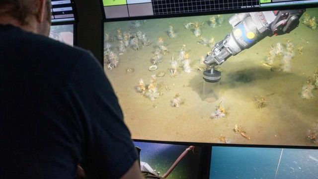 Study Suggests Oxygen-Using Microbes Enabled Evolution of Eukaryotes