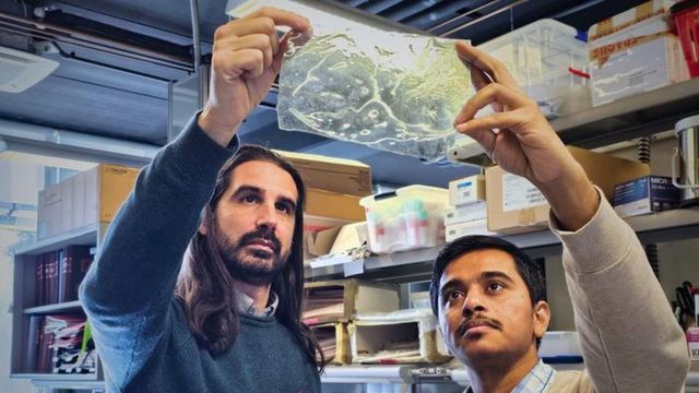 Biological Material That Becomes Stronger When Wet Could Replace Plastics