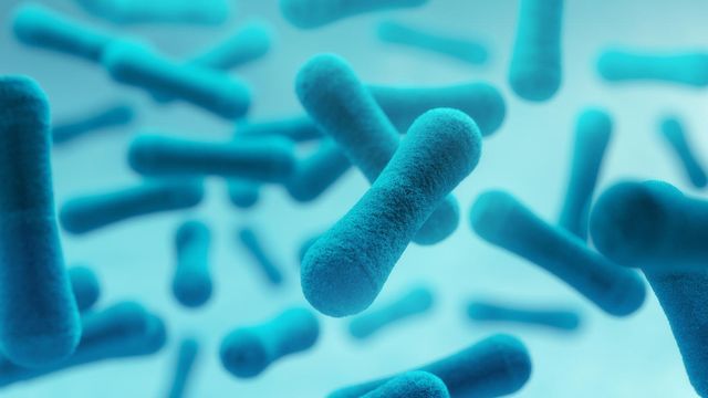 Illustration of blue rod-shaped cells used to simplify cell analysis. 