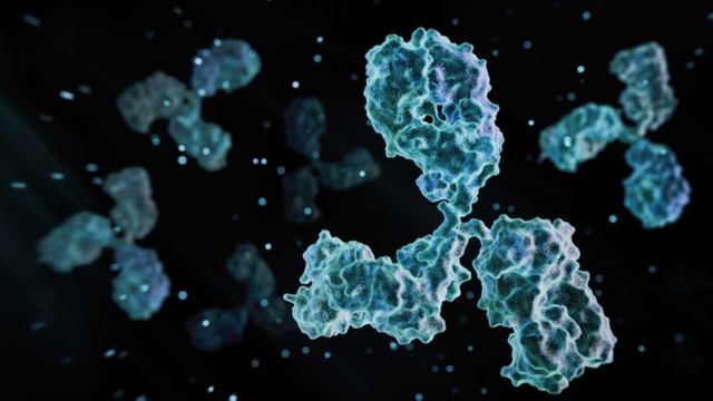 3D illustration of antibodies binding to antigens in an immune response concept. 