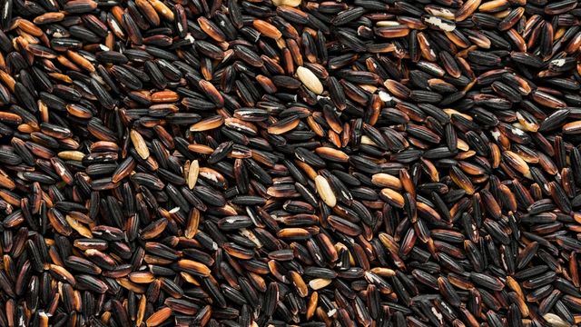 A close-up photograph of many grains of black rice. 