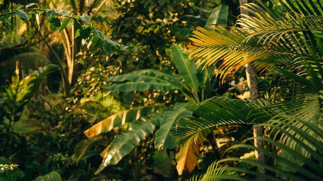 PEX38 Protein Identified as a Tropical Disease Drug Target