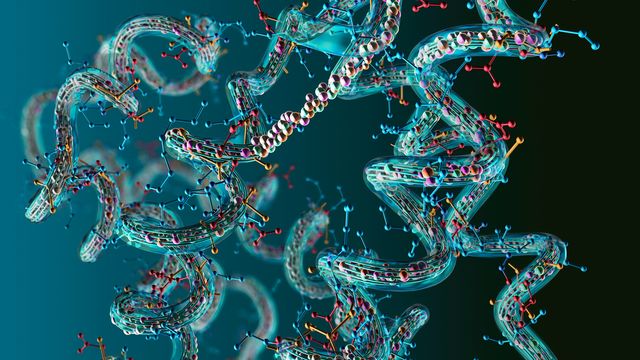 A digital illustration depicting long protein strands intertwining around each other. 