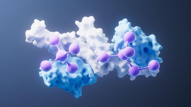 3D illustration of protein–ligand interaction in SPR analysis with molecular model. 
