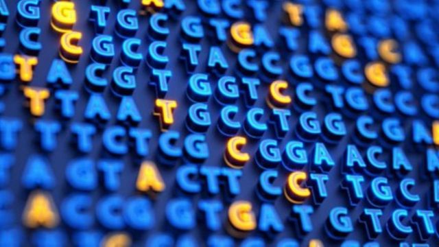 DNA sequencing letters (A, T, C, G) visualized in a genetic code data pattern. 