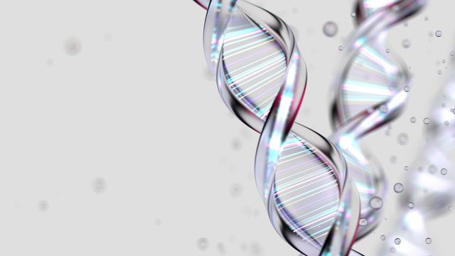 Illustration of DNA double helices. The DNA is iridescent and floating on a grey background. 
