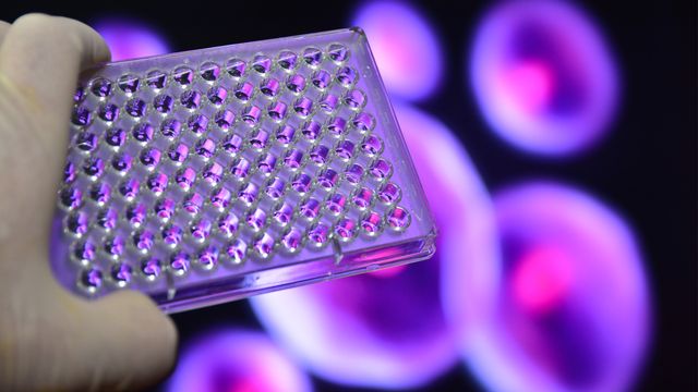 A gloved hand holds a clear 96-well microplate. In the blurred background are large stylized cells.  