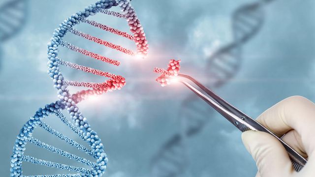 Gene editing concept showing a DNA double helix being adjusted with a tool, symbolizing genetic engineering, DNA modification, and biotechnology research. 