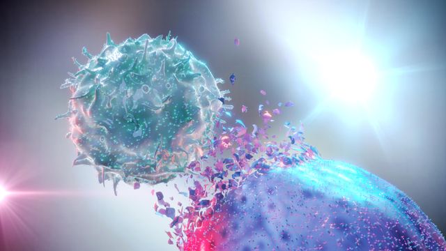 3D illustration of a natural killer (NK) cell attacking and destroying a cancer cell, highlighting immune response and cellular immunotherapy. 