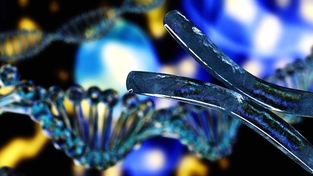 Visualization of a chromosome structure, with a DNA double helix pictured horizontally across a yellow and blue background. 