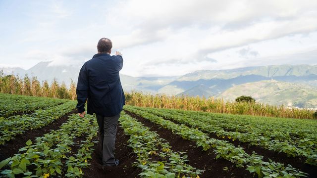 Scientists Trace Crop Viruses Back to the Last Ice Age