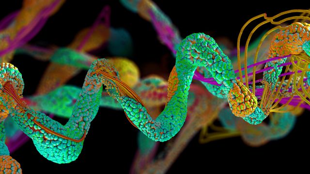 New Tool Helps To Determine Protein Structure