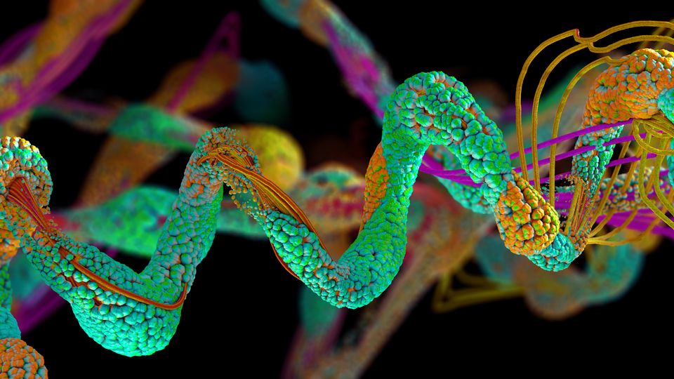 Protein Structure Research Advances With AQuaRef Tool | Technology Networks