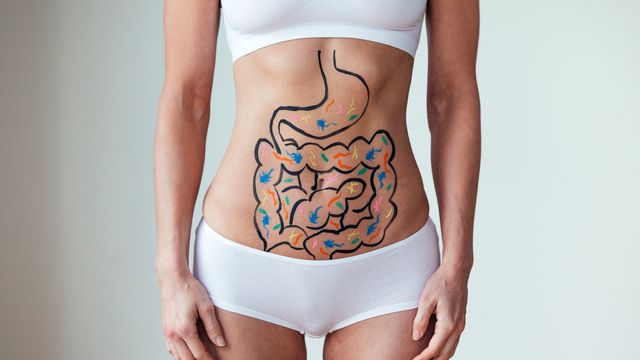 A woman in white underwear, with a drawing of the gut outlined in marker pen on her stomach. The drawing contains multiple colourful dots, representing bacteria. 