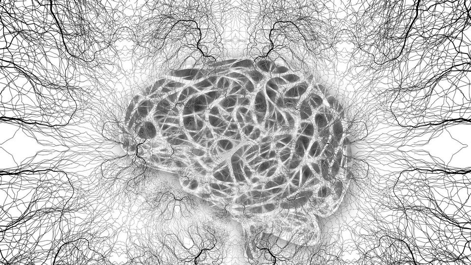 Study Maps Gene Activity in Brain Signaling | Technology Networks