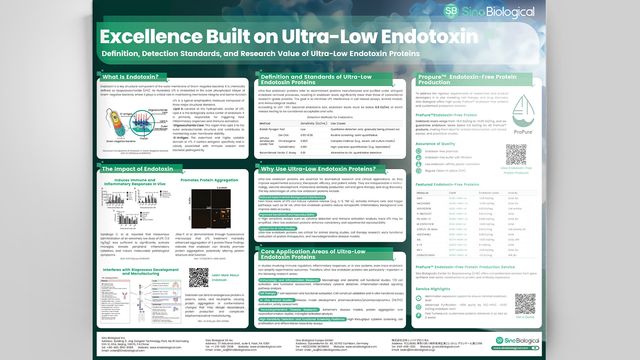 Poster titled “Excellence Built on Ultra-Low Endotoxin” with diagrams, charts, and protein production details from Sino Biological 