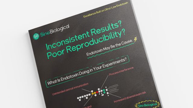 Poster from Sino Biological highlighting “Inconsistent Results? Poor Reproducibility?” and noting endotoxin as a possible cause in experiments 