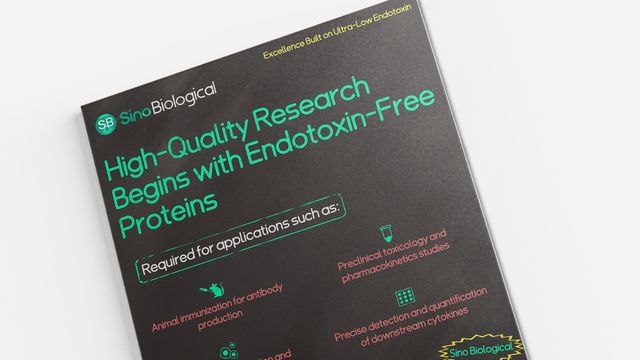 Poster from Sino Biological stating “High-Quality Research Begins with Endotoxin-Free Proteins” with listed research applications 