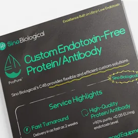 Poster from Sino Biological promoting custom endotoxin-free protein and antibody production with service highlights like high purity and fast turnaround