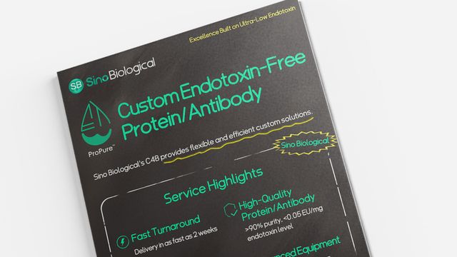 Poster from Sino Biological promoting custom endotoxin-free protein and antibody production with service highlights like high purity and fast turnaround 