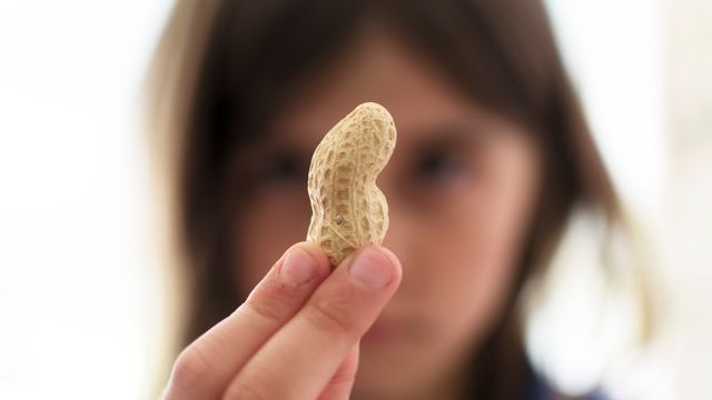 Child holding a peanut shell close to the camera. 