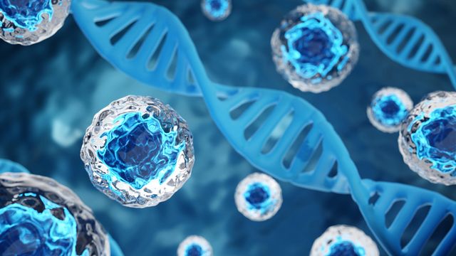 Illustration of human cells and DNA double helices floating on a blue background. The cells are clear with a blue nucleus and the DNA is light blue.  