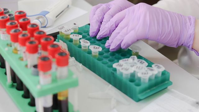 Gloved technician placing labeled sample tubes into a lab rack for testing. 