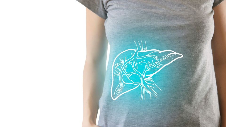 Machine Learning Model Predicts Liver Cancer Risk | Technology Networks