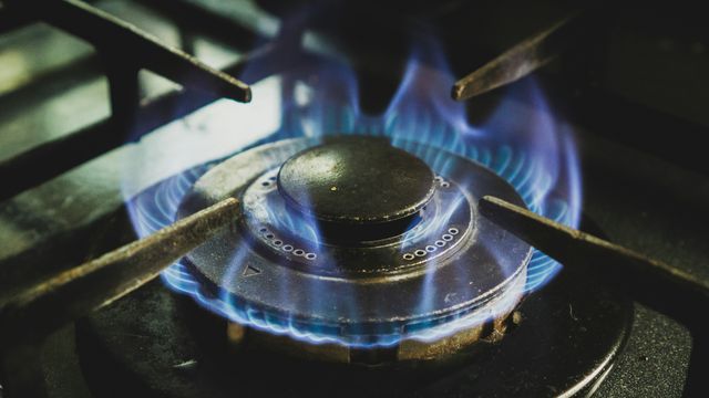 40% of European Gas Stoves Leak Benzene, Even When Turned Off