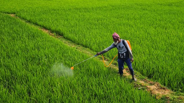 Agricultural Pesticides Strongly Linked to Cancer Risk