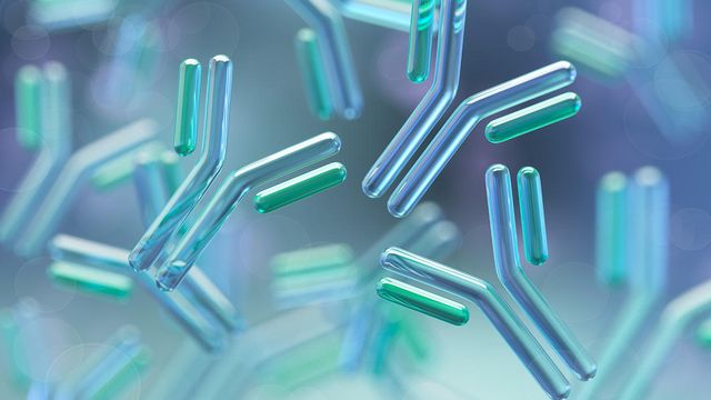 Abstract Y-shaped antibodies in blue-green background, representing protein detection and Western blot data normalization. 