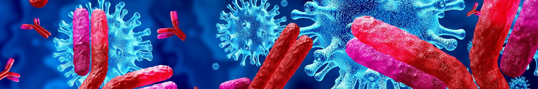 Illustration of viruses and bacteria in a bioprocessing environment with antibodies. 