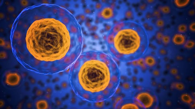 3D illustration of yellow human cells with prominent nuclei. 