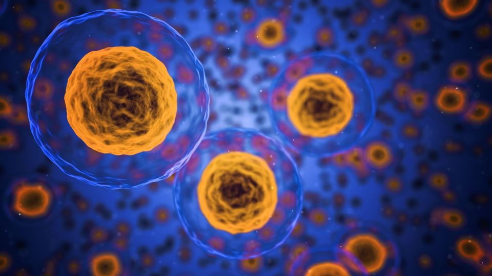 3D illustration of yellow human cells with prominent nuclei.