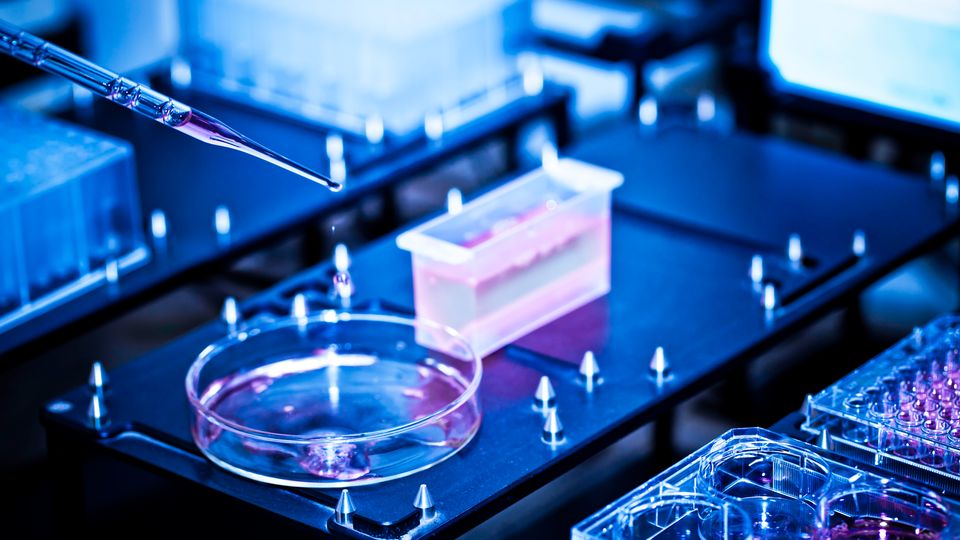 Automated high throughput screening with robotic pipette dispensing samples into lab plates.