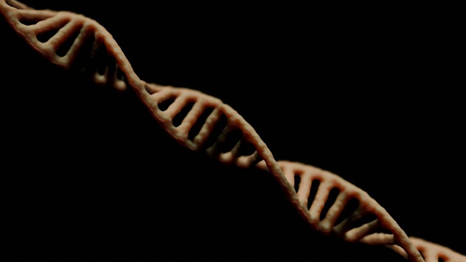 Close-up of a DNA double helix structure on a dark background.