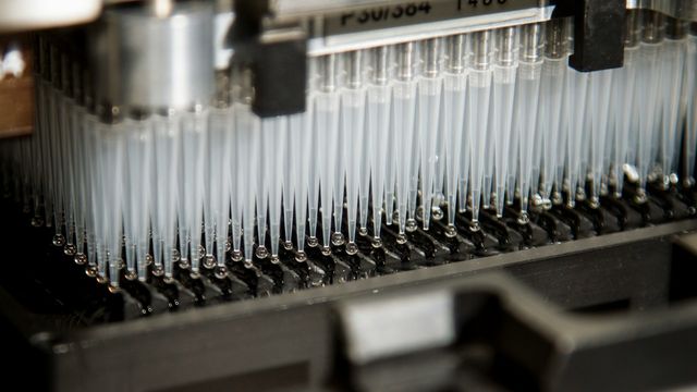 Automated liquid handling machine dispensing samples with multiple pipette tips in a laboratory. 