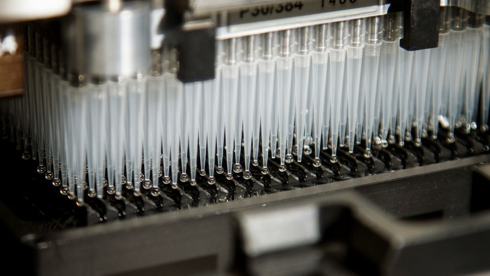Automated liquid handling machine dispensing samples with multiple pipette tips in a laboratory.