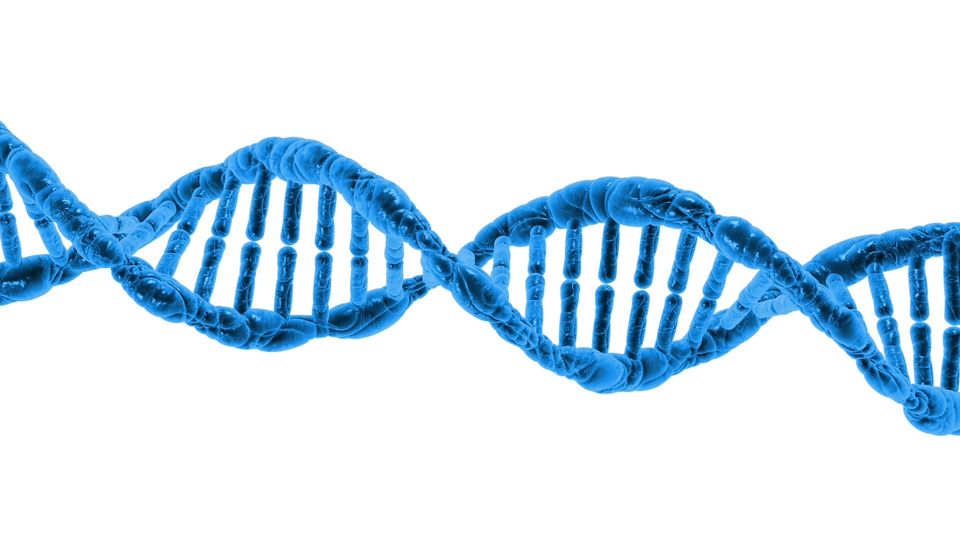 Blue DNA double helix structure isolated on a white background.