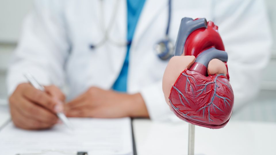 Doctor writing on a clipboard seated behind an anatomical model of the human heart.