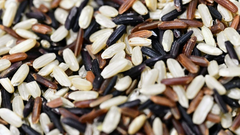 Close-up of mixed tri-color rice grains, including white, brown, and black varieties.