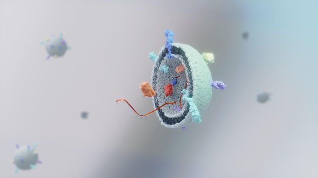 3D cross-section of an exosome showing internal cargo like proteins and RNA strands against a blurred gray background 