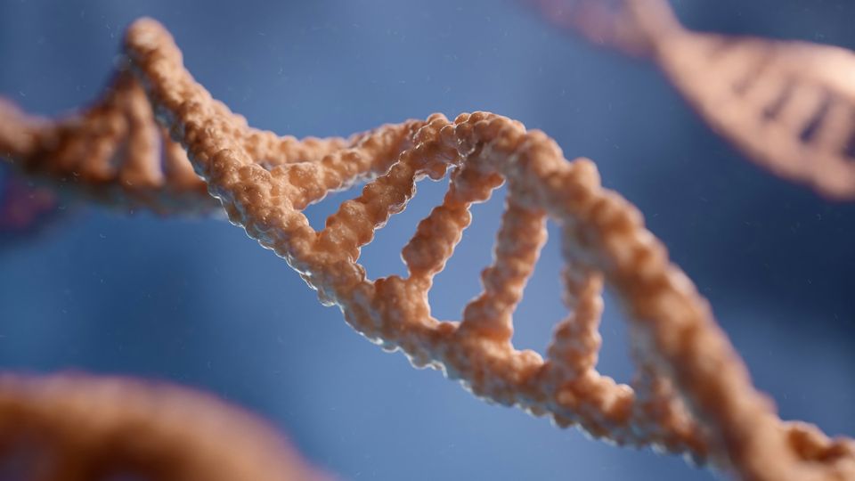 3D illustration of a DNA helix structure.