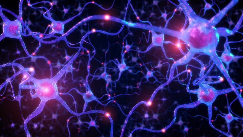 Illustration of neuron cells transmitting signals across a connected neural network.