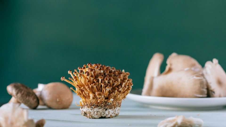 Cluster of nameko mushrooms on table with assorted fresh mushrooms in background.