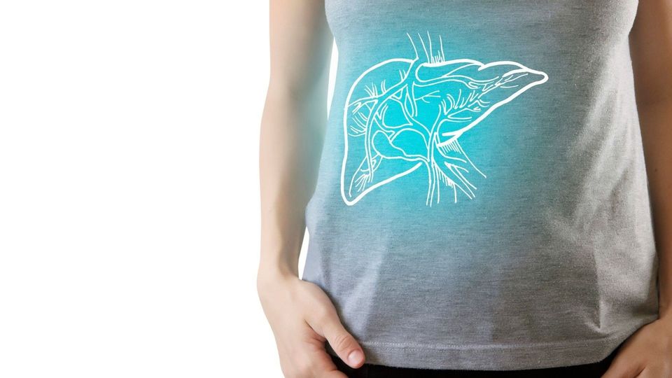 Illustration of liver anatomy overlaid on torso highlighting organ location and structure.